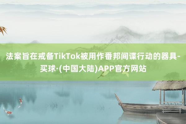 法案旨在戒备TikTok被用作番邦间谍行动的器具-买球·(中国大陆)APP官方网站