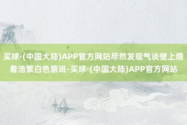 买球·(中国大陆)APP官方网站尽然发现气谈壁上缀着浩繁白色菌斑-买球·(中国大陆)APP官方网站