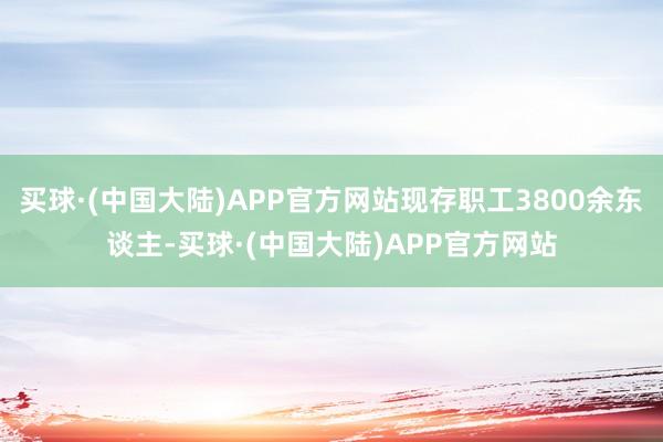 买球·(中国大陆)APP官方网站现存职工3800余东谈主-买球·(中国大陆)APP官方网站