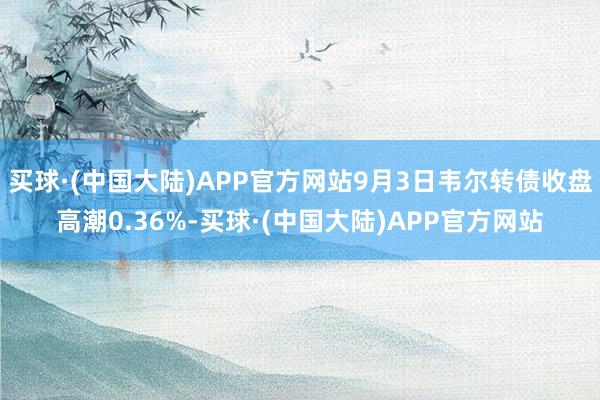 买球·(中国大陆)APP官方网站9月3日韦尔转债收盘高潮0.36%-买球·(中国大陆)APP官方网站