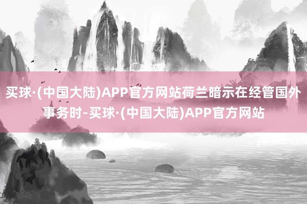 买球·(中国大陆)APP官方网站荷兰暗示在经管国外事务时-买球·(中国大陆)APP官方网站