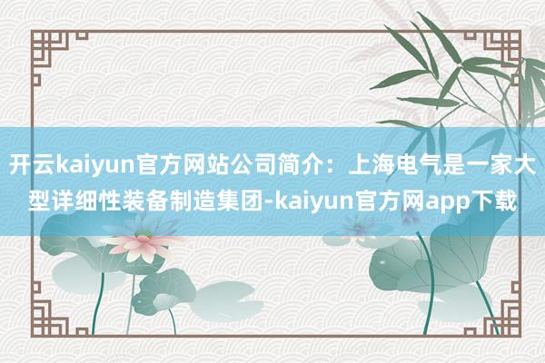 开云kaiyun官方网站公司简介：上海电气是一家大型详细性装备制造集团-kaiyun官方网app下载