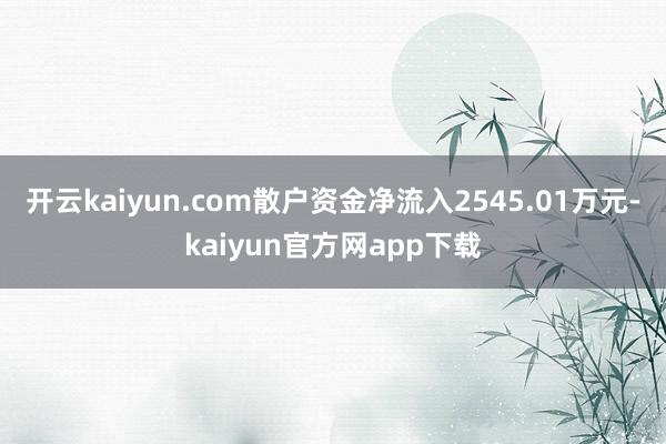 开云kaiyun.com散户资金净流入2545.01万元-kaiyun官方网app下载