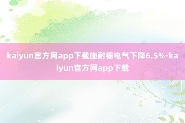 kaiyun官方网app下载　　施耐德电气下降6.5%-kaiyun官方网app下载