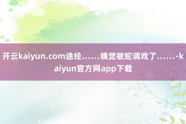 开云kaiyun.com途经……嗅觉被蛇调戏了……-kaiyun官方网app下载
